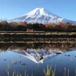 76971322_1227942230747626_4226933570922348544_n