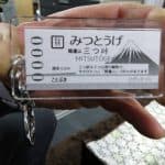 79135800_1235921093283073_3070900830660984832_n