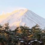 80399174_1251081861766996_6231187992405344256_n