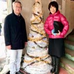 80611239_1251081731767009_3145909496727994368_n