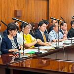 参議院沖縄及び北方問題並びに地方に関する特別委員会に出席、いわゆる副首都構想関連法案の質疑